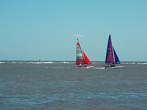 Golden Isles nature photo