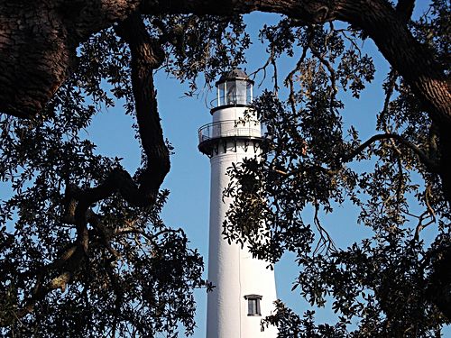 The lighthouse framed in live oak