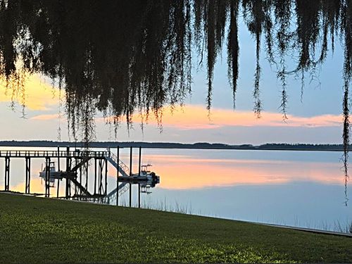 Evening beneath the Spanish moss