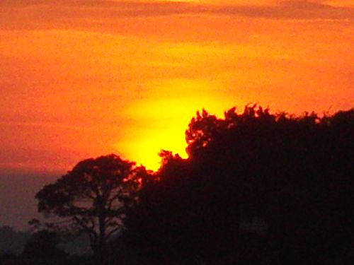 Fire in the sky over the island canopy